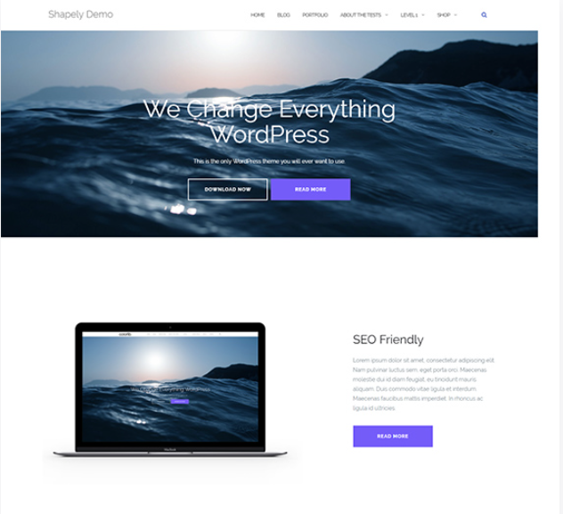 Shapely wordpress theme